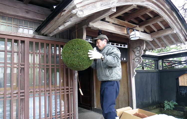 「しぼりたて生酒」発売