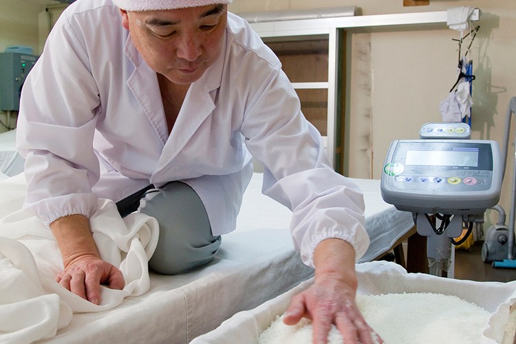 大吟醸の仕込み