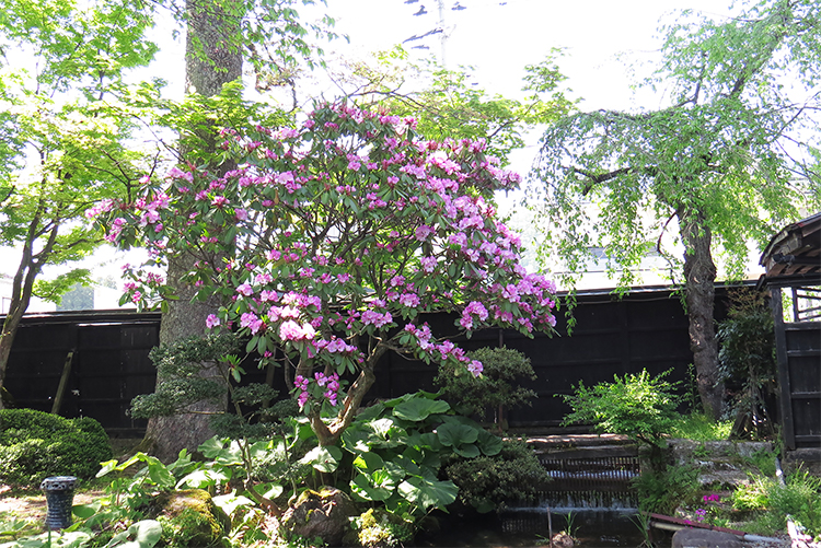 蔵観光に来てたんせ