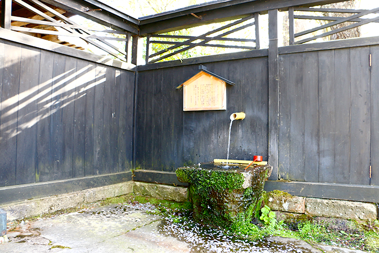 玄関前の仕込み水