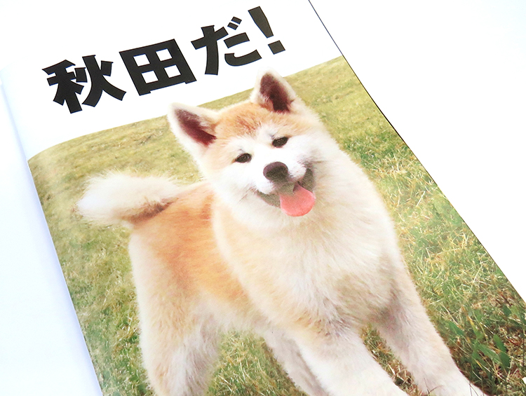 『秋田だ！』秋田県観光総合ガイドブック