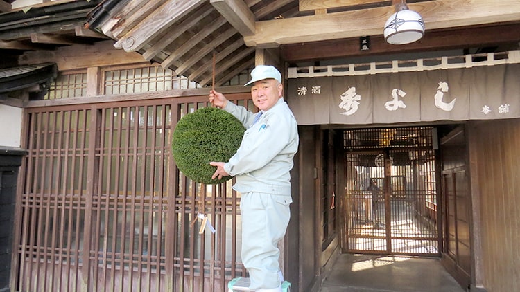 杉玉交換を行いました