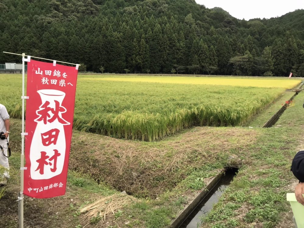 兵庫県多可町 秋田村　山田錦圃場視察へ行ってまいりました。