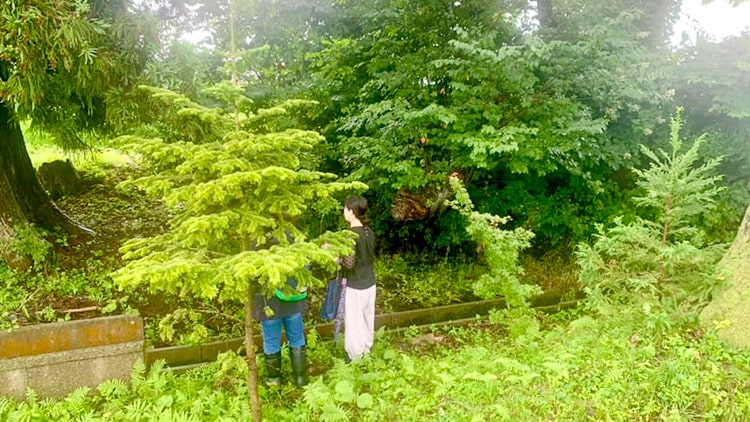 「中仙文化財保護協会」勉強会