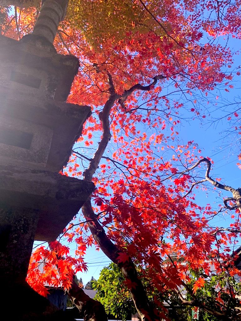 秋田の地酒　秀よし　紅葉観光３