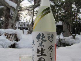 秋田地酒ー季節限定ー純米生原酒