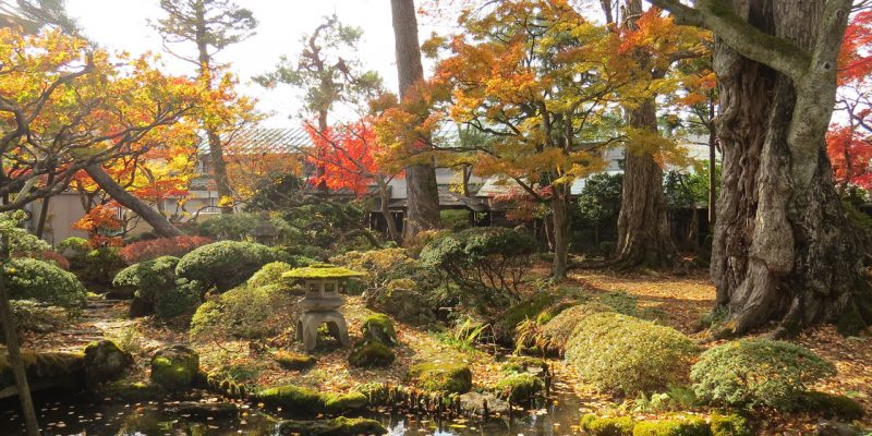 Home | 秋田の日本酒 秀よし - 鈴木酒造